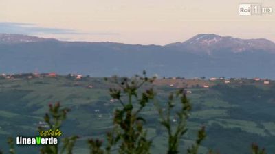 guida tv Rai 1 mattina, oggi su Rai 1 mattina.