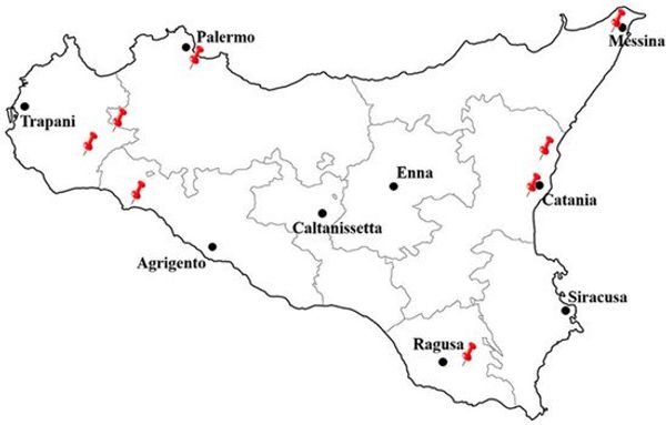 guida tv Rai Storia mattina, oggi su Rai Storia mattina.