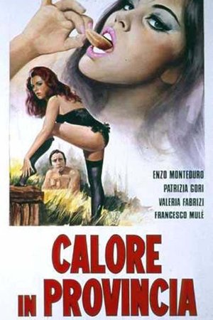 programmi tv seconda serata Calore in provincia, oggi in tv seconda serata Calore in provincia poster