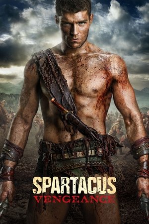 stasera in tv Spartacus - Gli Dei dell'Arena, oggi in tv prima serata Spartacus - Gli Dei dell'Arena poster