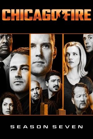 stasera in tv Chicago Fire - A te la scelta, oggi in tv prima serata Chicago Fire - A te la scelta poster