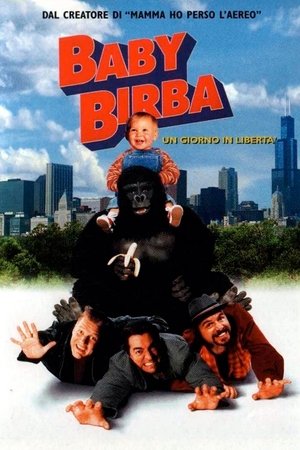 guida tv NOVE pomeriggio, oggi su NOVE pomeriggio. poster