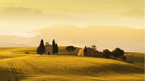 guida tv Rai 3 mattina, oggi su Rai 3 mattina.