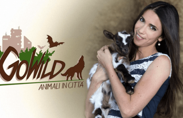 guida tv Rai Gulp pomeriggio, oggi su Rai Gulp pomeriggio.