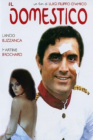 film tv oggi seconda serata, film tv in seconda serata Il domestico, film tv stanotte. poster