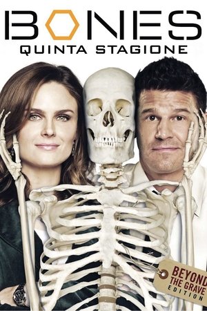 guida tv Italia Uno mattina, oggi su Italia Uno mattina. poster