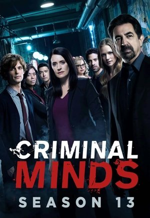 ora in tv Rai 4, ora su Rai 4, Criminal Minds XIII Rai 4, adesso su Rai 4 poster