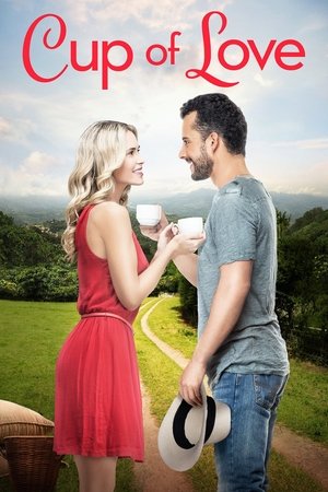 guida tv TV8 mattina, oggi su TV8 mattina. poster