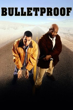 guida tv canale 20 mattina, oggi su canale 20 mattina. poster