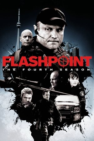 guida tv Rai 4 pomeriggio, oggi su Rai 4 pomeriggio. poster