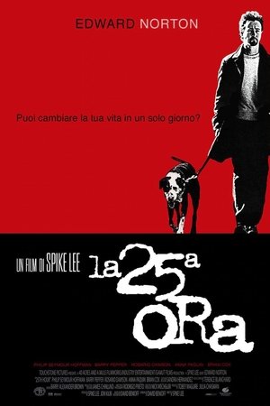 guida tv Rai News 24 pomeriggio, oggi su Rai News 24 pomeriggio. poster