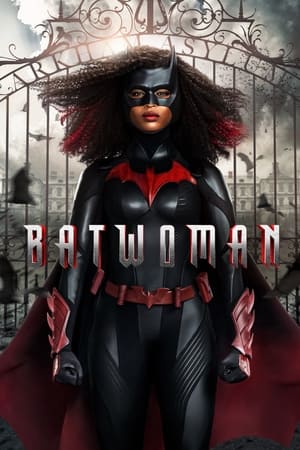 ora in tv canale 20, ora su canale 20, Batwoman canale 20, adesso su canale 20 poster