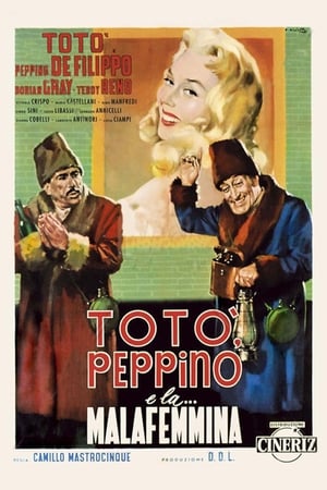 guida tv Rai 3 pomeriggio, oggi su Rai 3 pomeriggio. poster