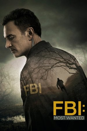 TOPCrime seconda serata, guida tv TOPCrime seconda serata, TOPCrime cosa fa stasera, TOPCrime notte. poster