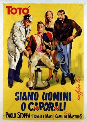 guida tv Rai 3 mattina, oggi su Rai 3 mattina. poster