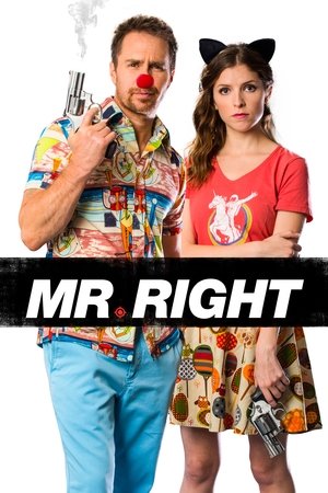 programmi tv seconda serata Mr. Right, oggi in tv seconda serata Mr. Right poster