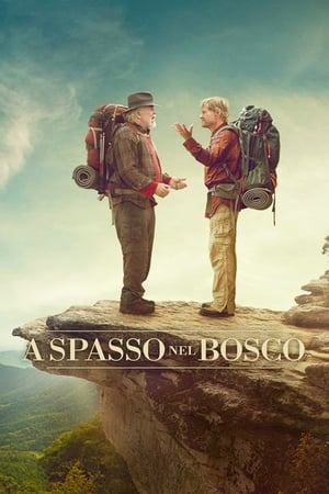 film tv stasera, film tv A Spasso Nel Bosco, film stasera in tv poster