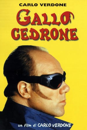guida tv Cine 34 pomeriggio, oggi su Cine 34 pomeriggio. poster