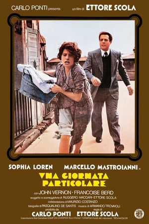 programmi tv seconda serata Una giornata particolare, oggi in tv seconda serata Una giornata particolare poster